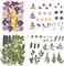 100-Piece Purple Dried Pressed Flowers for Crafts – Real Flowers & Leaves for Resin, Jewelry, Scrapbooking, Candle, Soap, Card Making & DIY Projects (H-4 Set Purple)